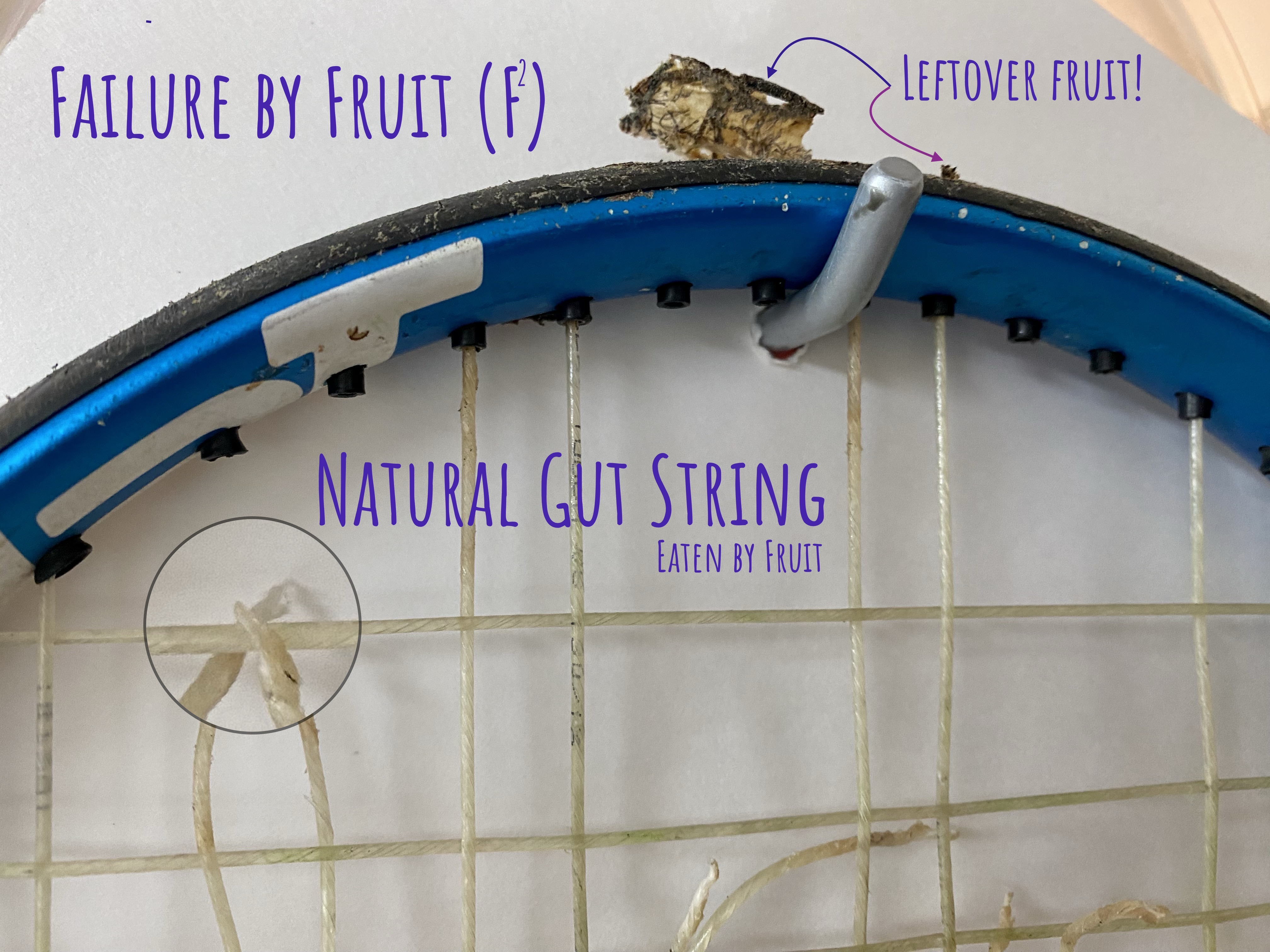 Failure by Fruit! | Racquet Quest